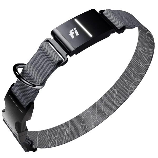 Fi New Series 3+ Smart Dog Tracker Collar