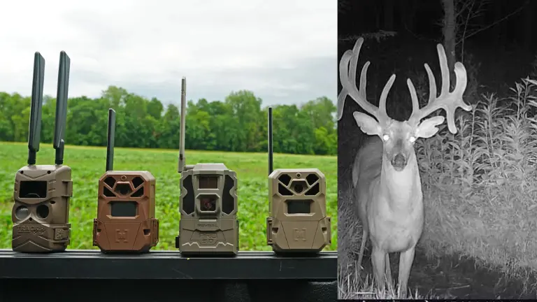 Best 5 Trail Cameras in 2026 New NL – Product Expert