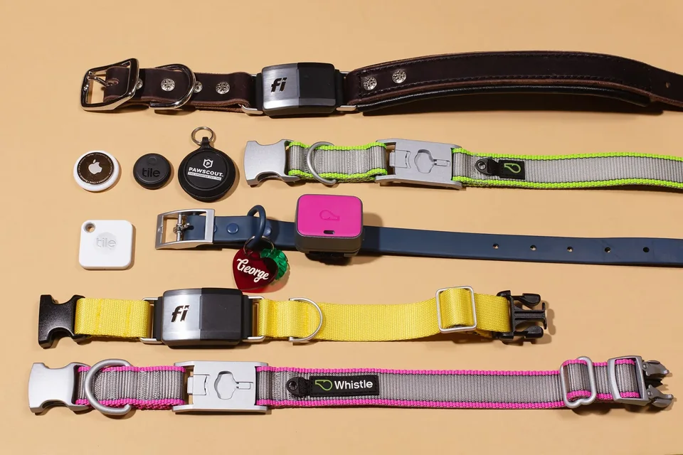 Best 5 Dog GPS Collars in 2026 NL – Product Expert